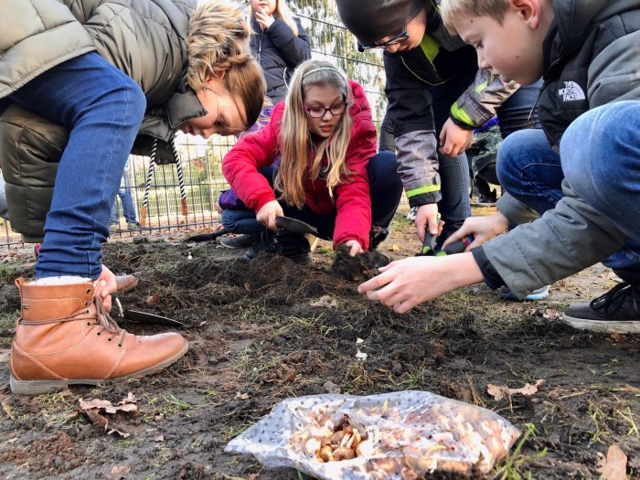 Blumige Grüße aus der Waldschule