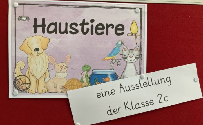 Ausstellung Haustiere